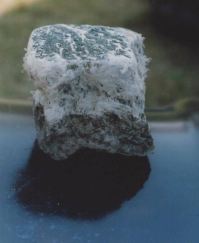 About Chrysotile asbestos, a mineral, shown in its raw form.